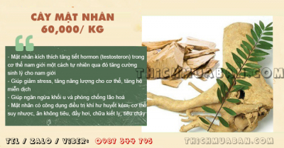 Cây Mật Nhân
