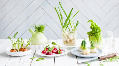 Những cách trồng rau củ tại nhà đơn giản bạn nên thử